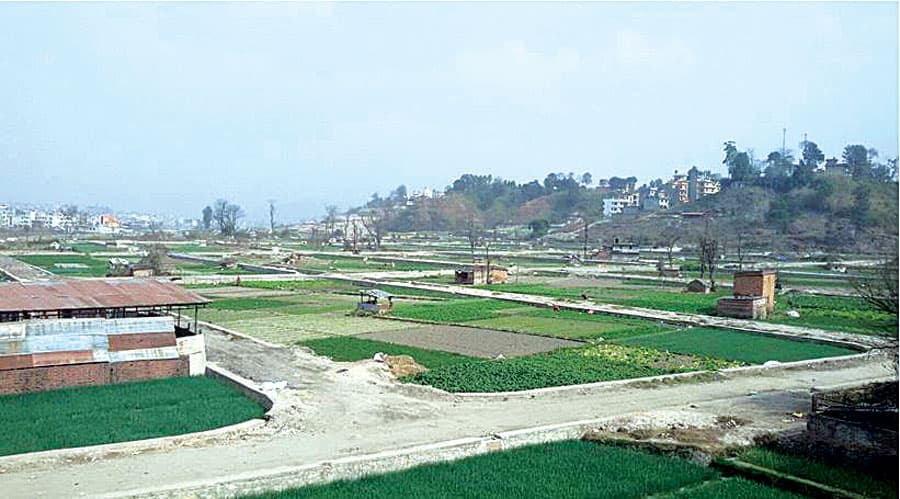 156D7032765C8A8-Dibyshwori-3-finla.jpg