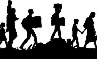 485FFC3CA47B01F-migration.jpg