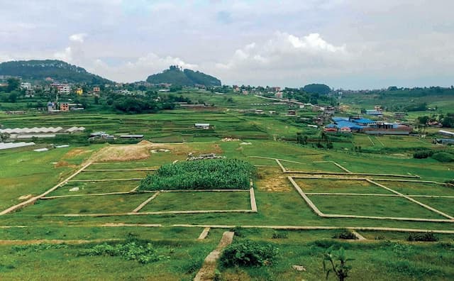 चैतमा घरजग्गासँगै कित्ताकाट पनि बढ्यो, के अब नयाँ वर्षदेखि लय समाउला ?