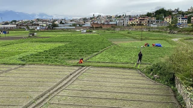 चैतमा घरजग्गा कारोबार र राजश्व संकलन बढ्यो, देखियो सुधारको शंकेत