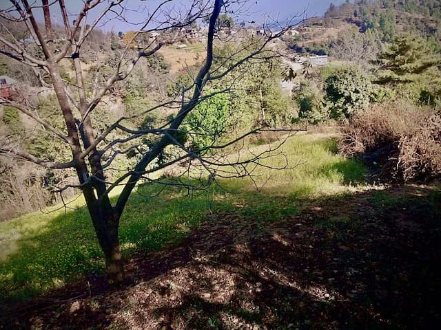 Agricultural Land for Sale