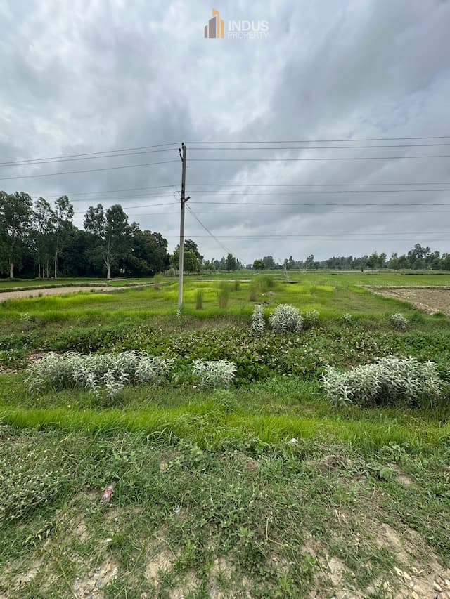 Commercial Land for Sale at Bega Shivpur