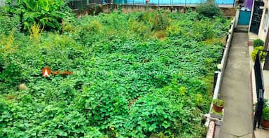 Residential Land for Sale