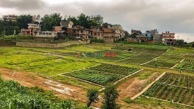 Residential Land for Sale