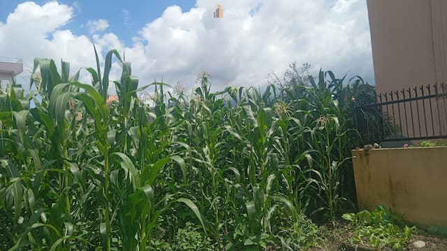 Land on sale 