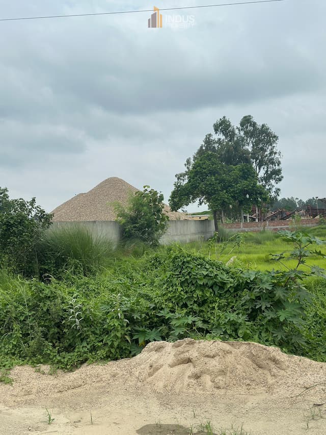 Residential Land for Sale at Milles Area