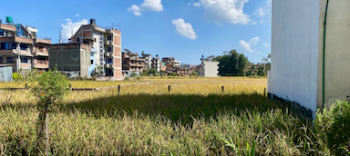 Land for Sale in Jhaukhel