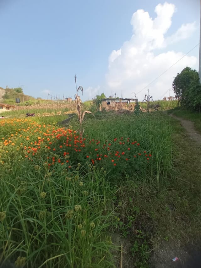 Residential Land for Sale
