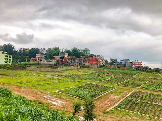Plotted land  are for sale in Dhapakhel, Lalitpur