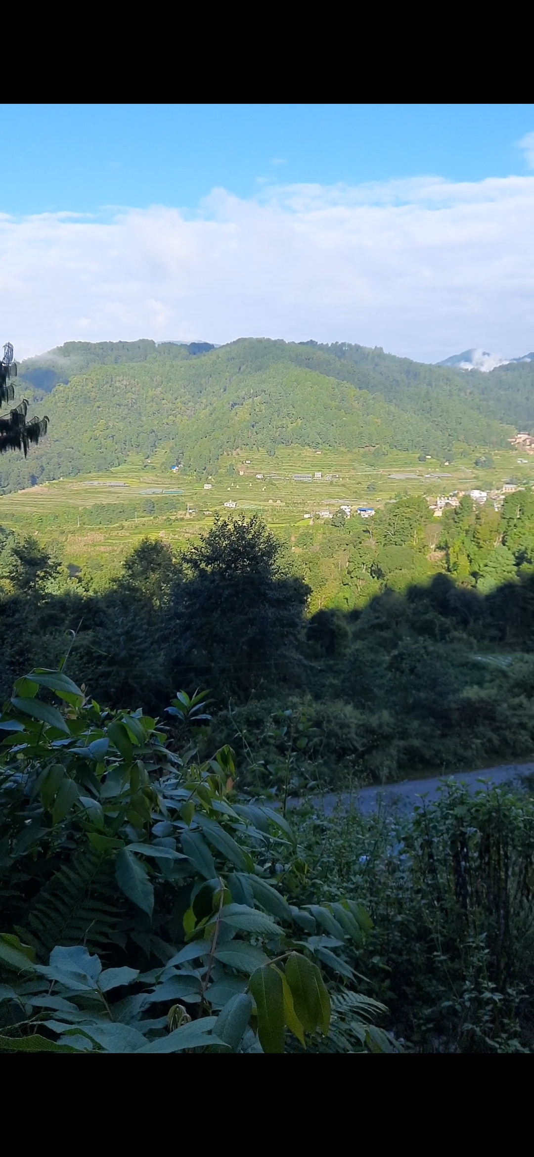 Agricultural Land for Sale