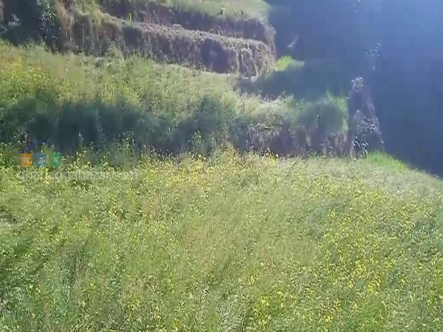 Agricultural Land for Sale