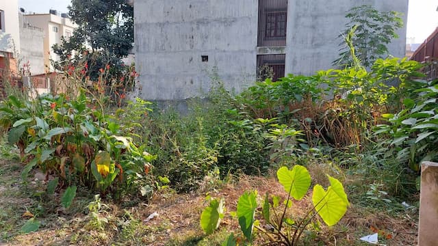 Residential land on sale at Maligaun, Kathmandu