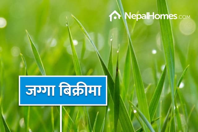 Two plots for sale in Mulpani