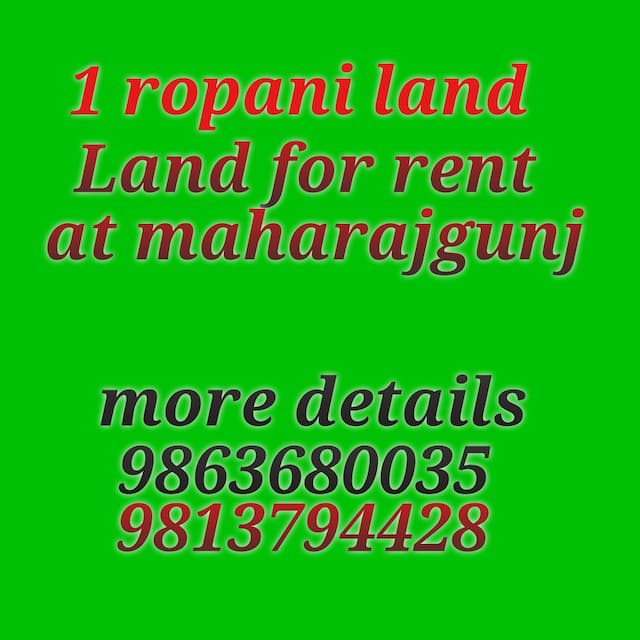 Land on rent   