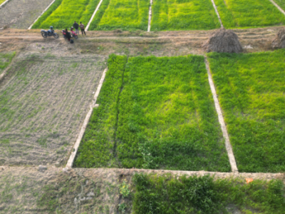 Land for Sale in Sudal