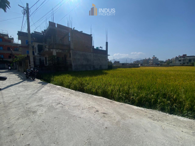 Land on sale at Balkot