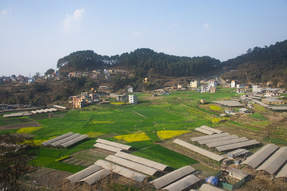 208BB200B496595-village_prakriti_tori_hariyali_plot-3.jpg
