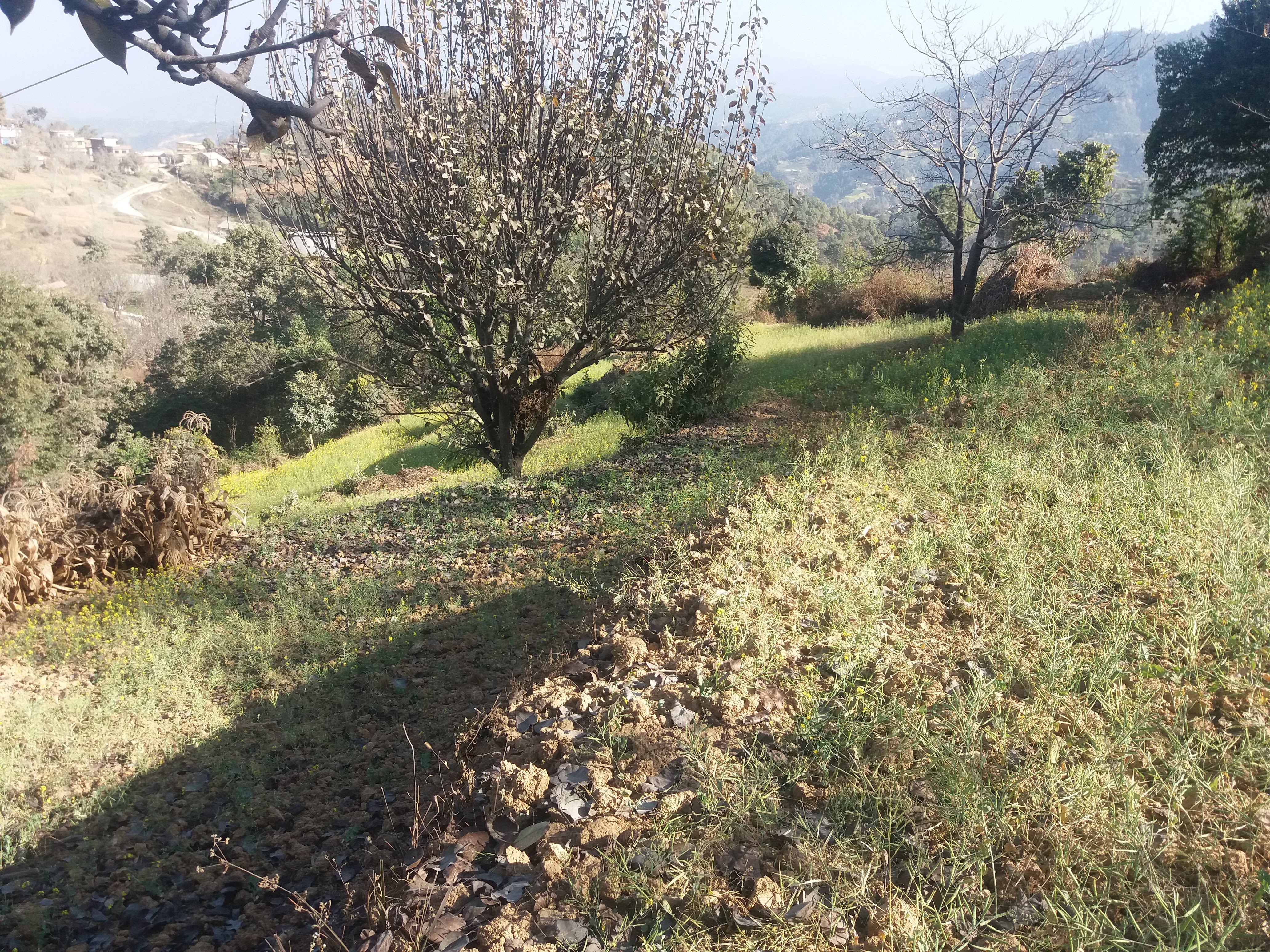 property-image