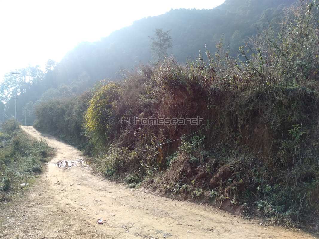 Picture of Kirtipur Municipality, Bagmati Province
