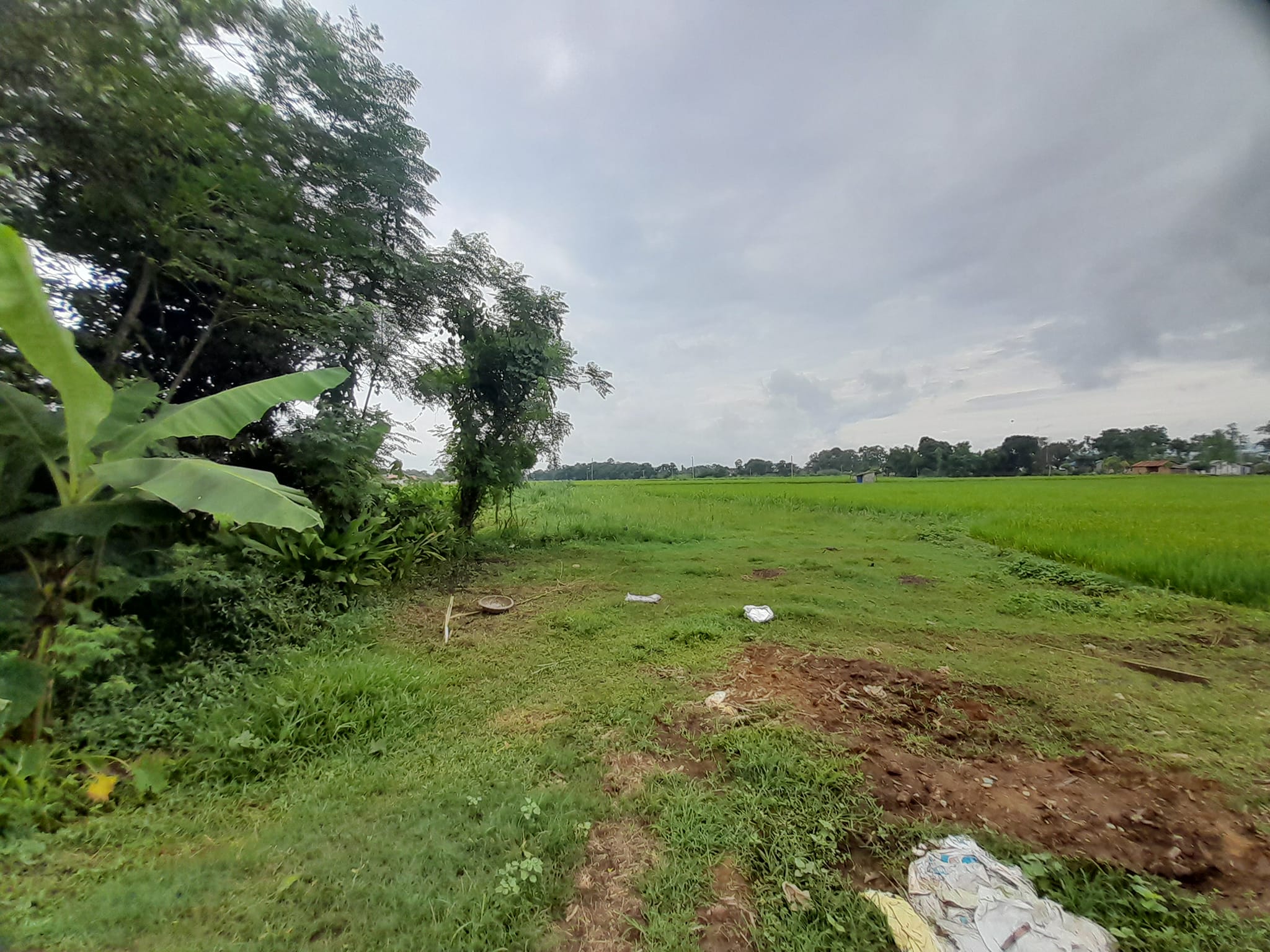Picture of Bharatpur Metropolitan City, Bagmati