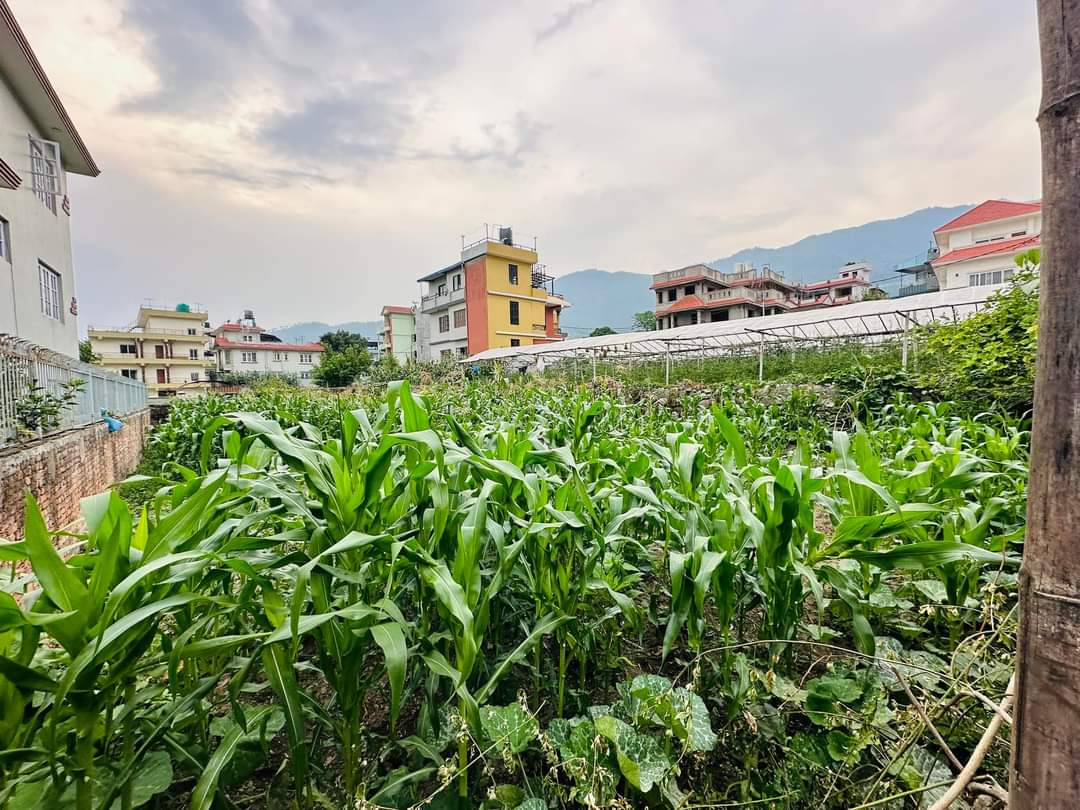 Picture of Budhanilkantha Municipality, Bagmati