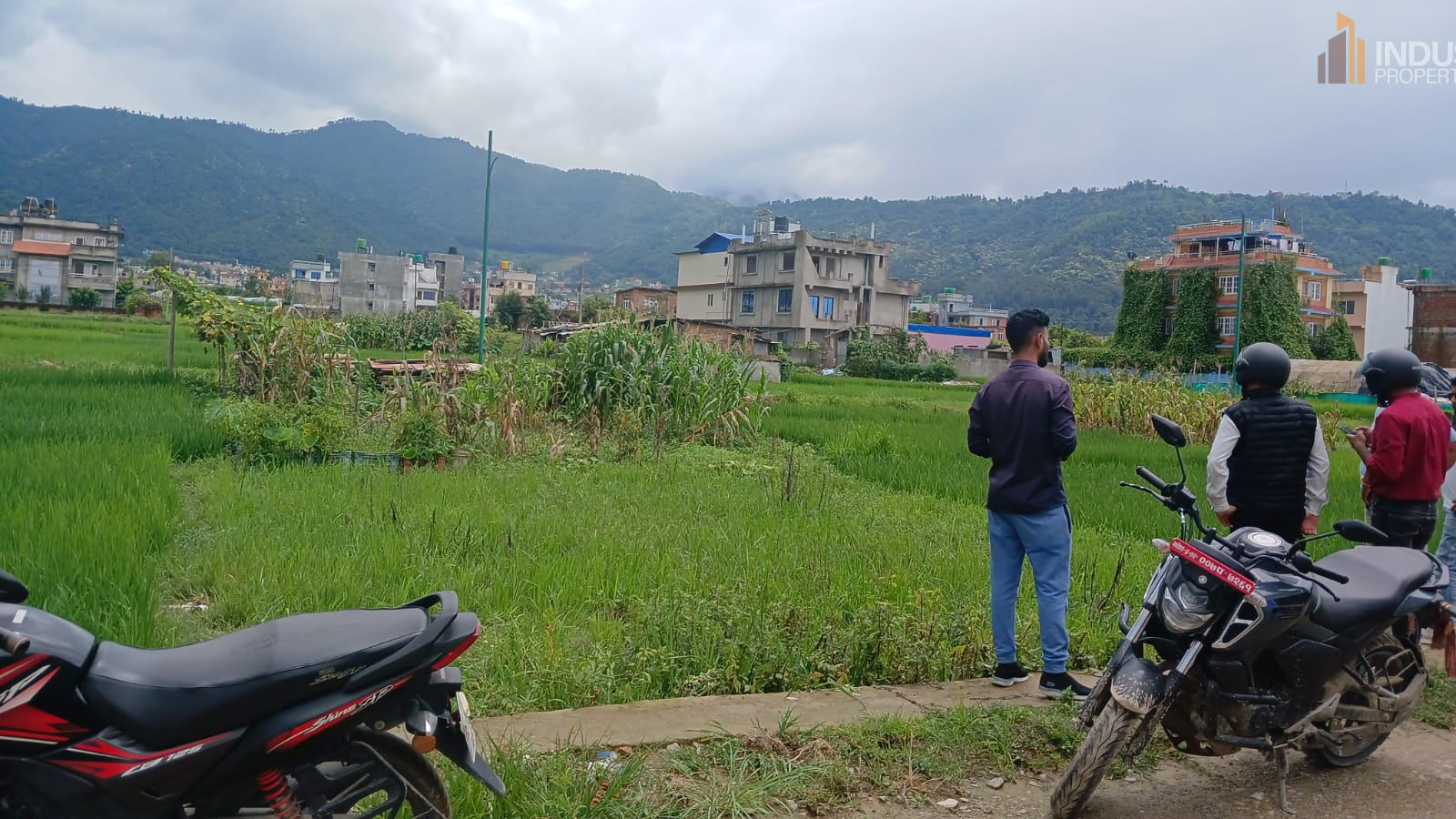 Picture of Mahalaxmi Municipality, Bagmati