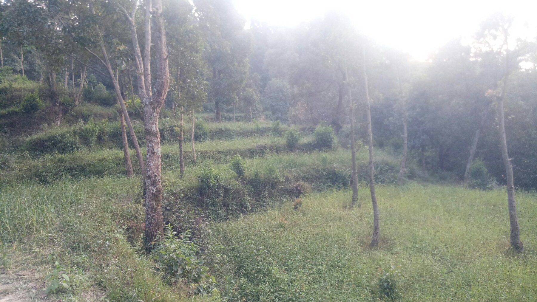 Picture of Budhanilkantha Municipality, Bagmati Province