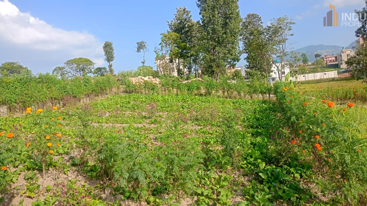 Picture of Suryabinayak Municipality, Bagmati