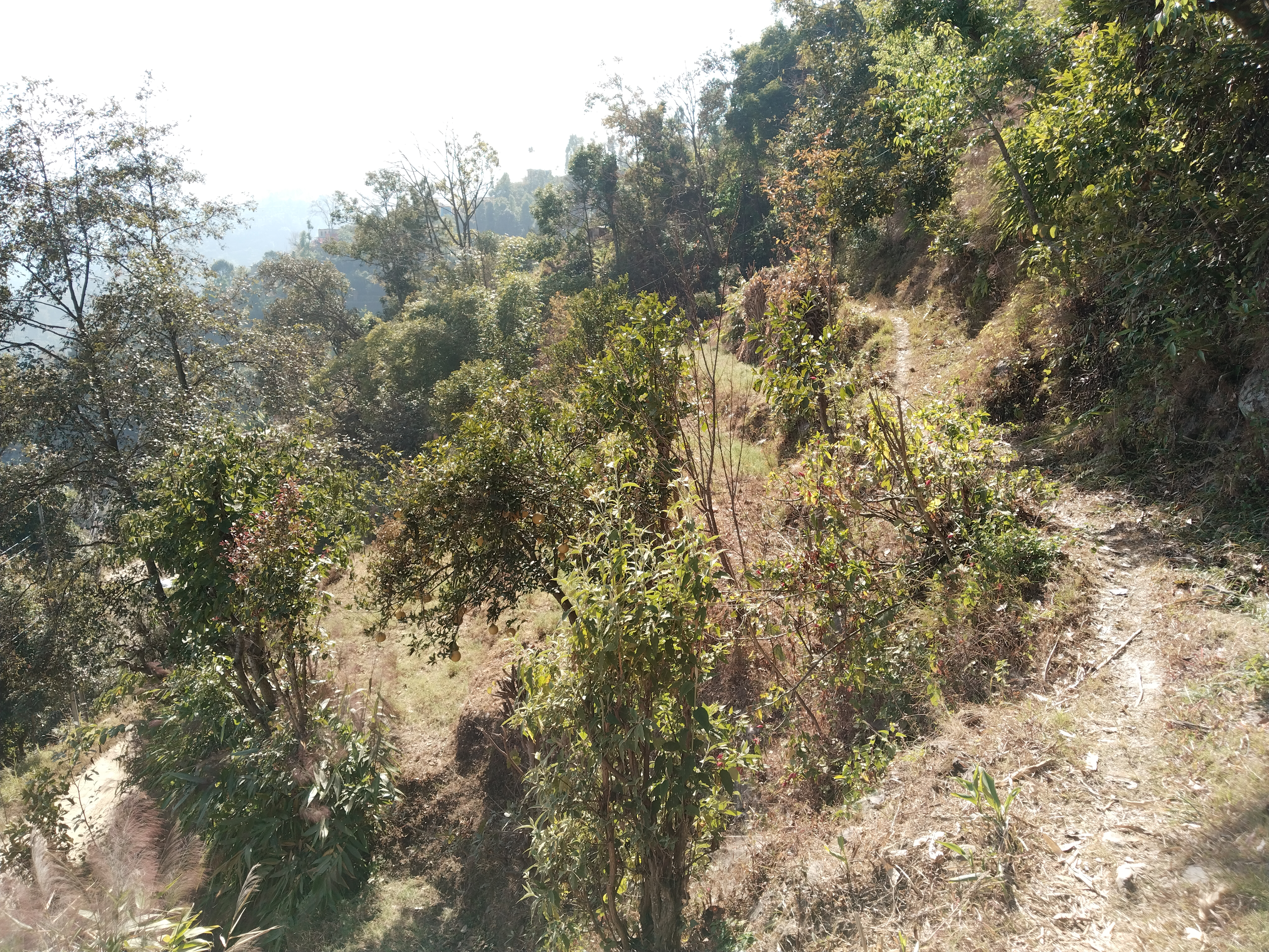 Picture of Dhulikhel Municipality, Bagmati