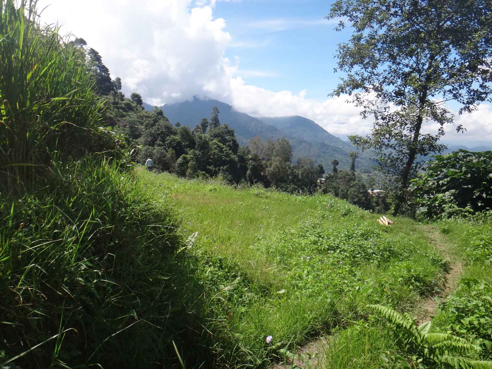 Picture of Tarkeshwor Municipality, Bagmati Province