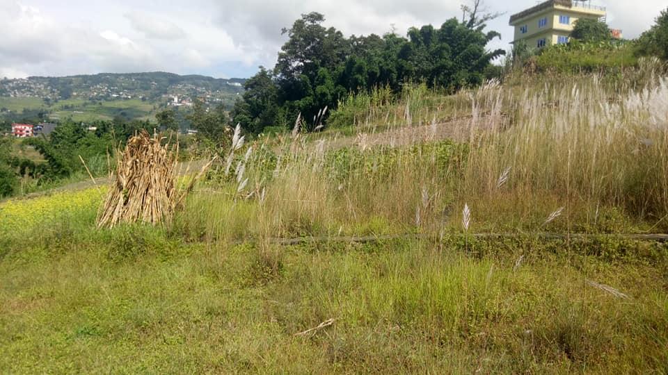 Picture of Changunarayan Municipality, Bagmati Province