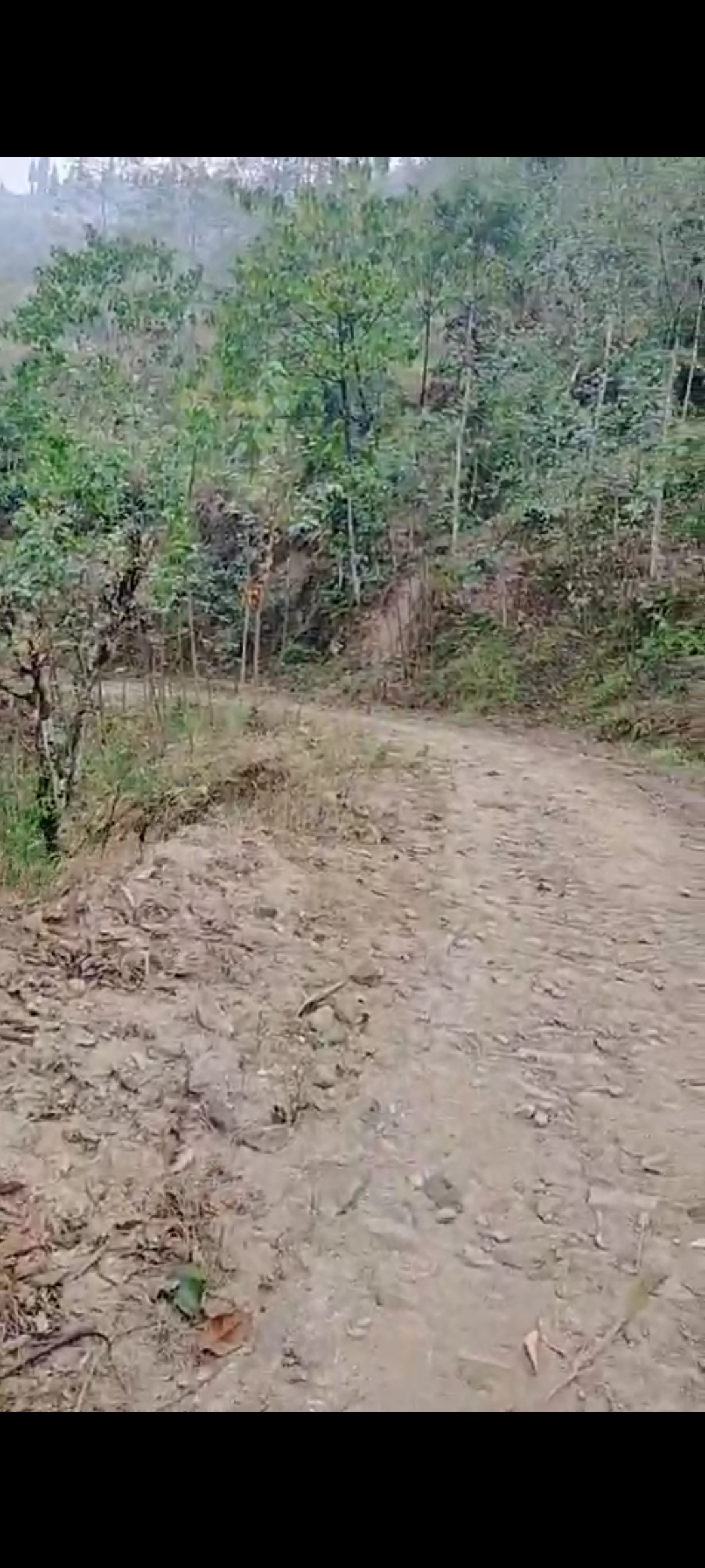 Picture of Suryodaya Municipality, Koshi