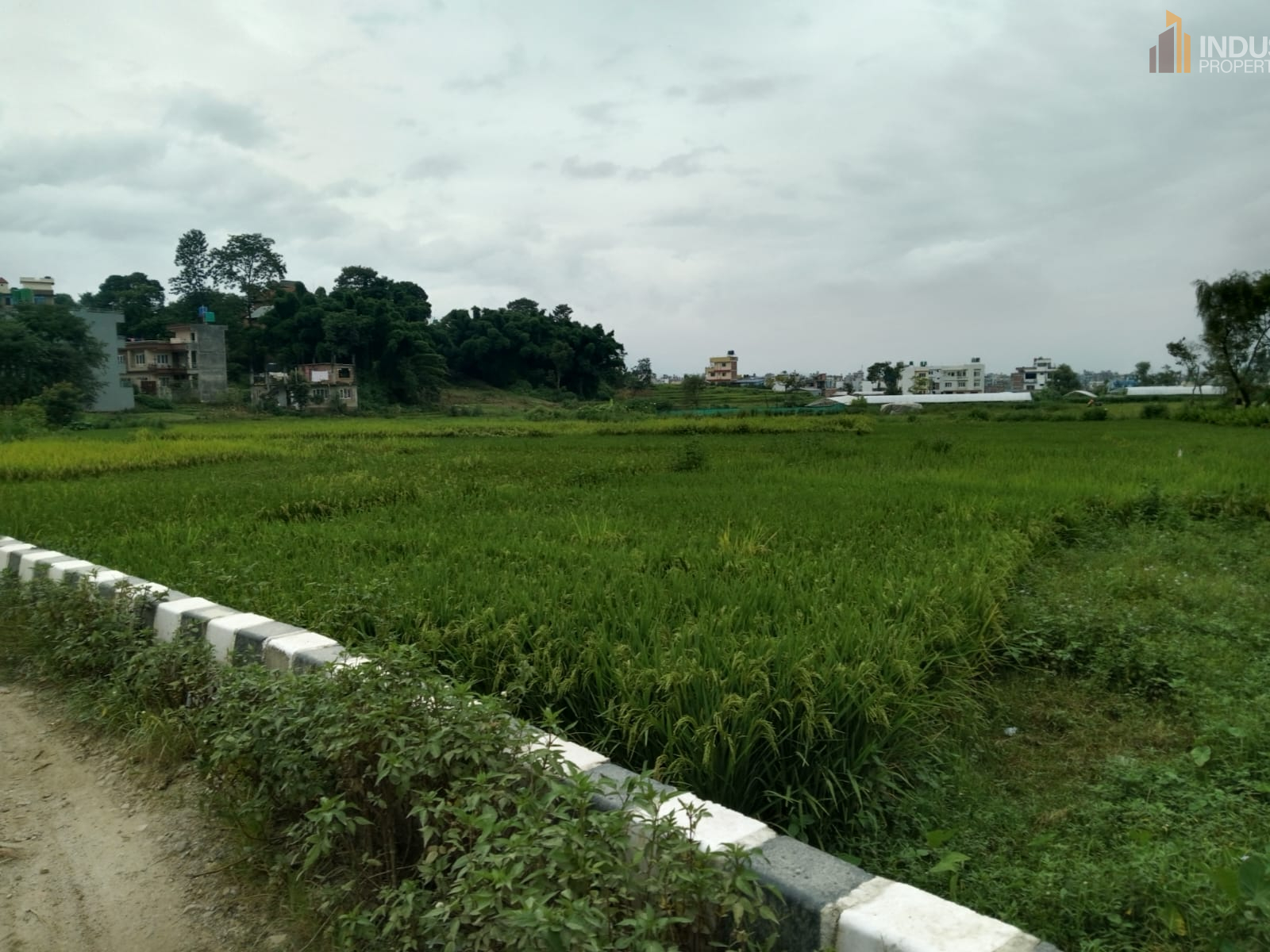 Picture of Mahalaxmi Municipality, Bagmati