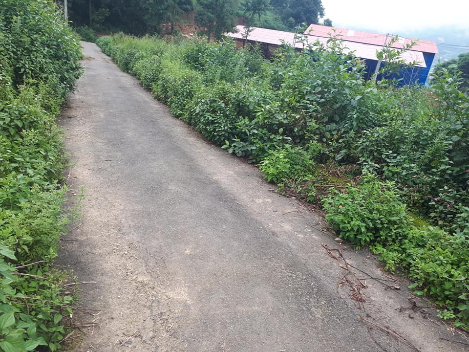 Picture of Chandragiri Municipality, Bagmati Province