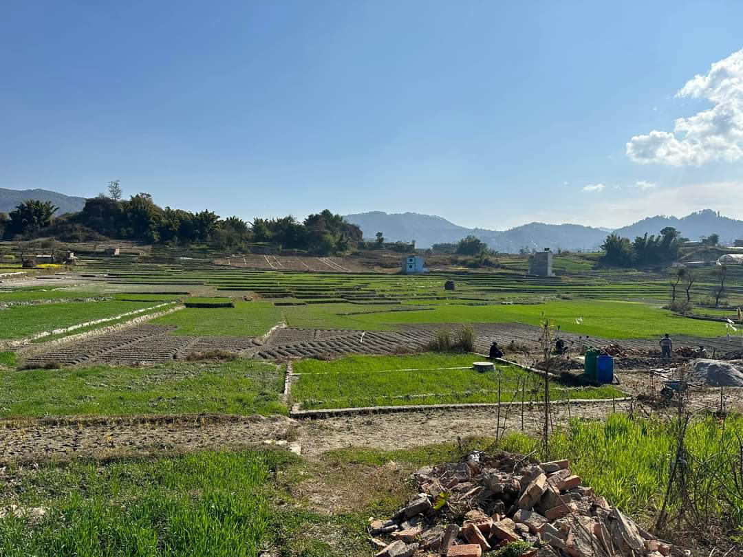 Picture of Changunarayan Municipality, Bagmati