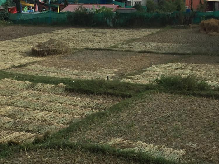 Picture of Tokha Municipality, Bagmati Province