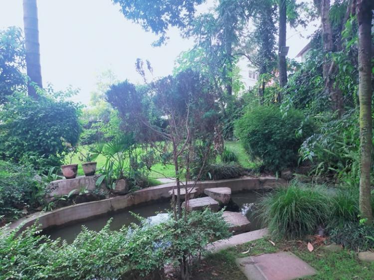 Picture of Lalitpur Metropolitan City, Bagmati