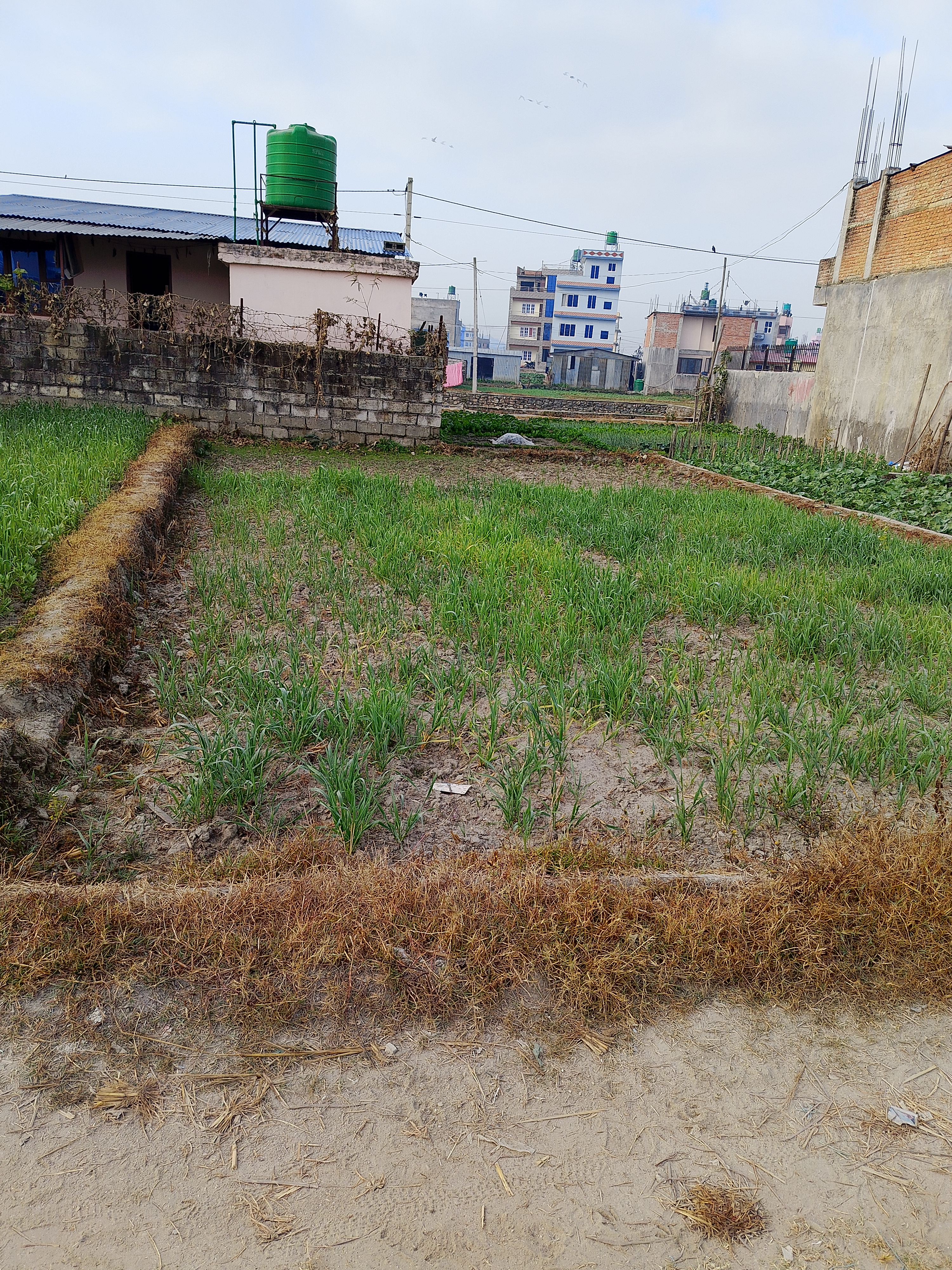 Picture of Changunarayan Municipality, Bagmati