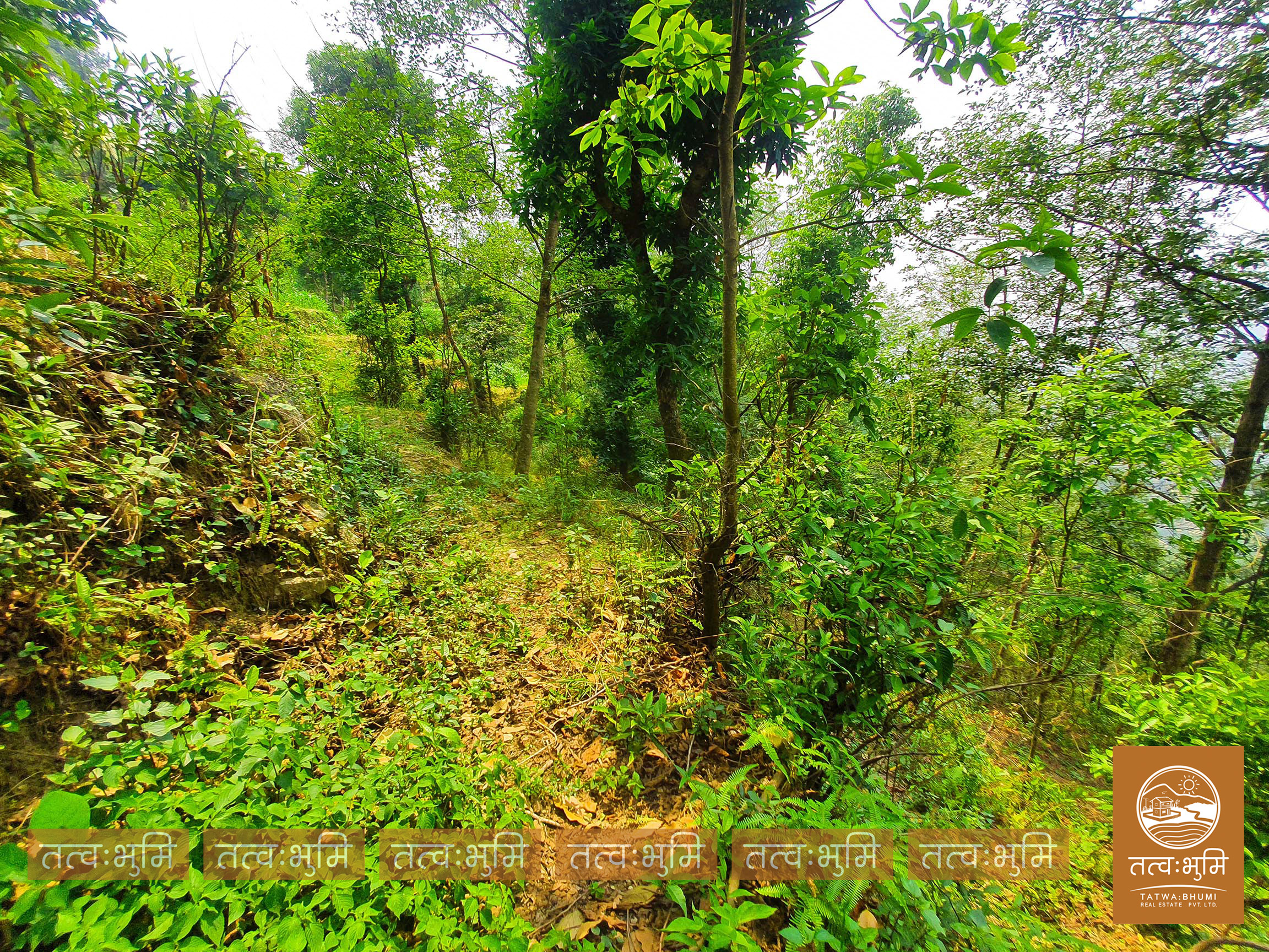 Picture of Shivapuri Rural Municipality, Bagmati
