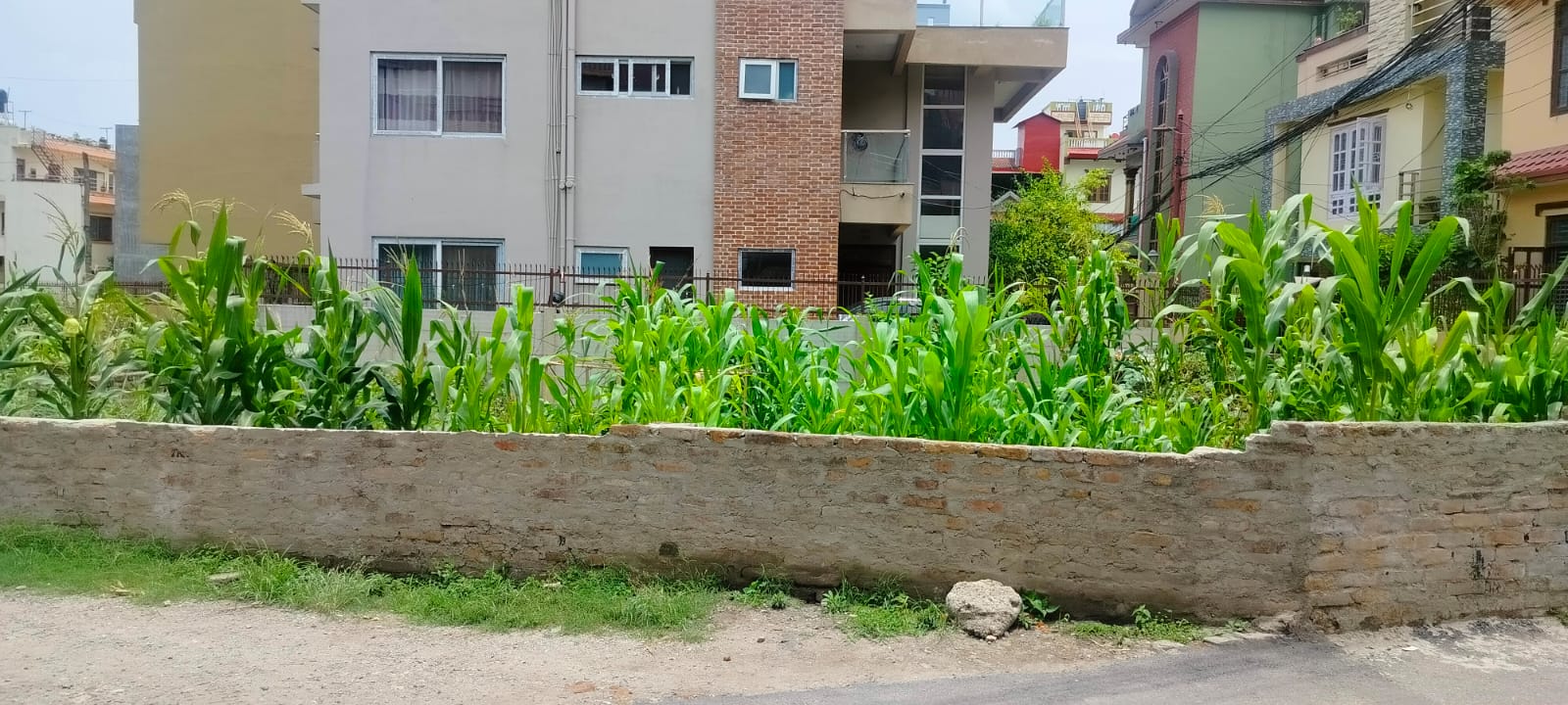 Picture of Nagarjun Municipality, Bagmati