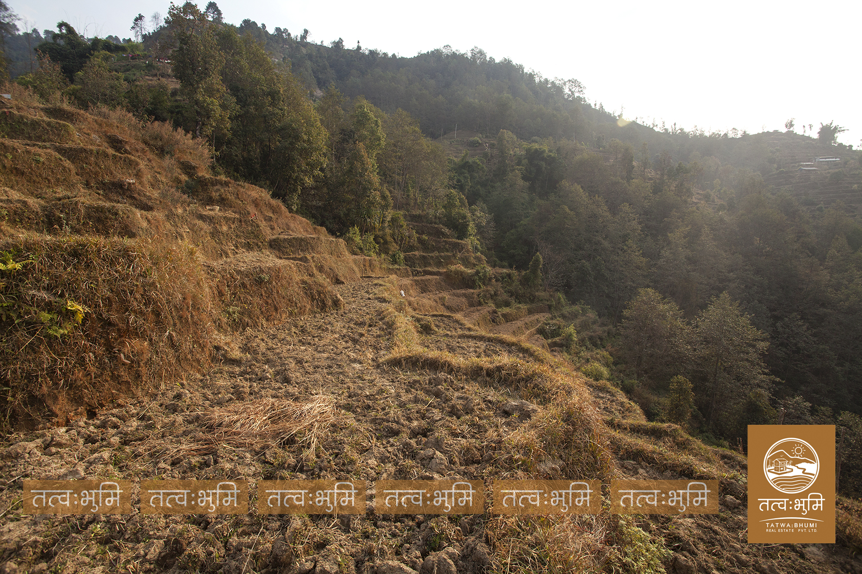 Picture of Shivapuri Rural Municipality, Bagmati