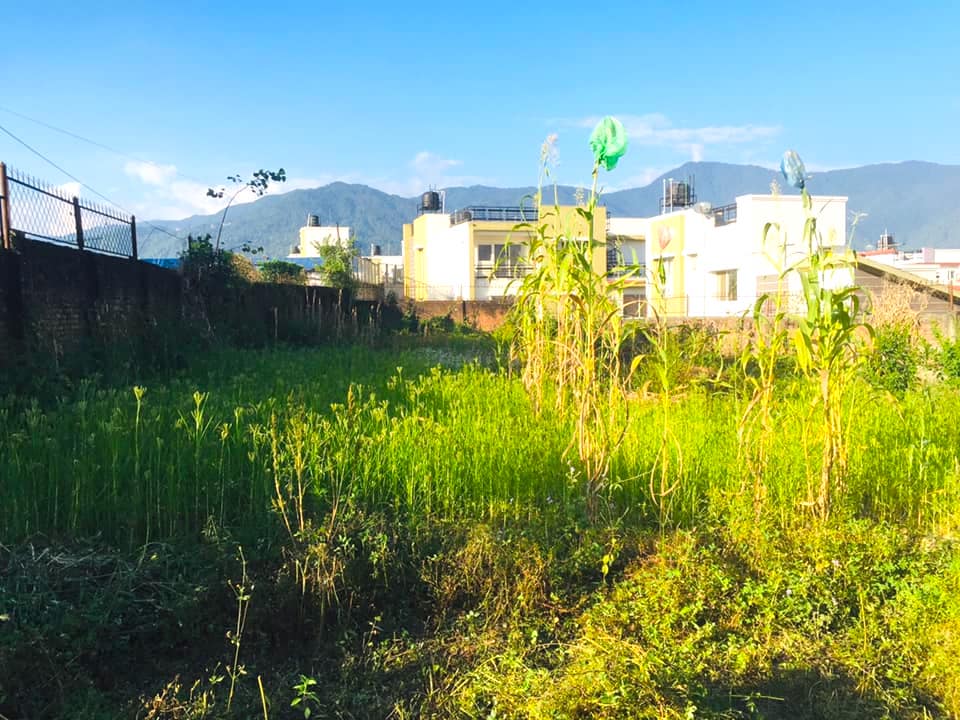 Picture of Budhanilkantha Municipality, Bagmati Province