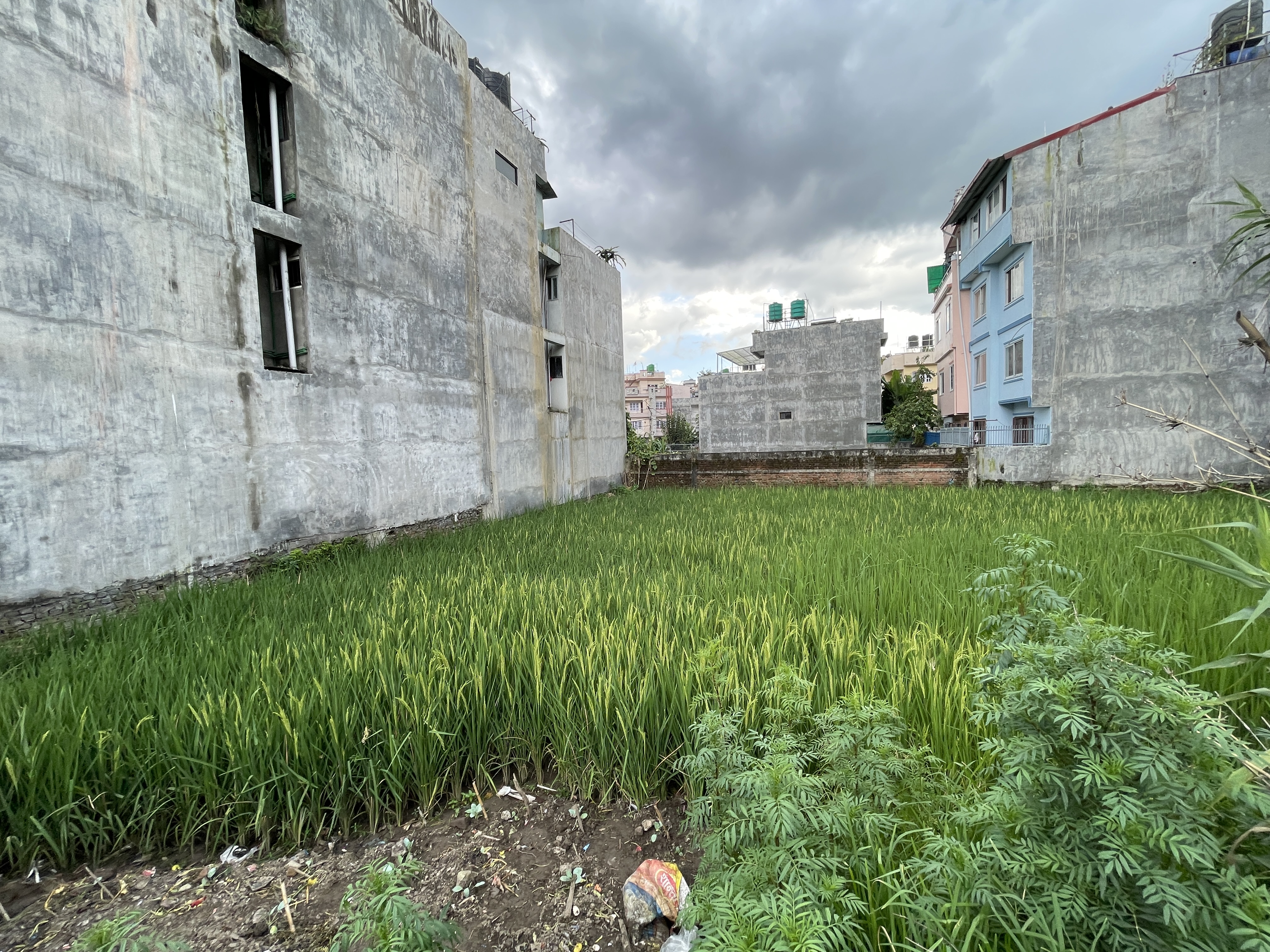 Picture of Nagarjun Municipality, Bagmati