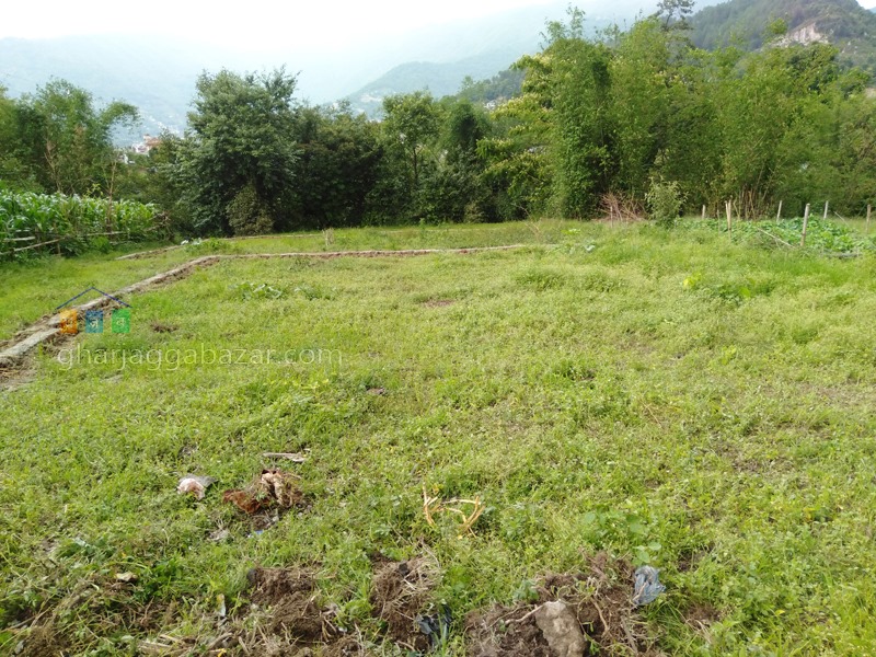 Picture of Budhanilkantha Municipality, Bagmati Province