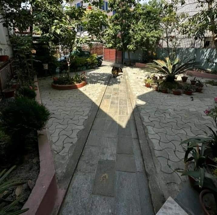 Picture of Lalitpur Metropolitan City, Bagmati