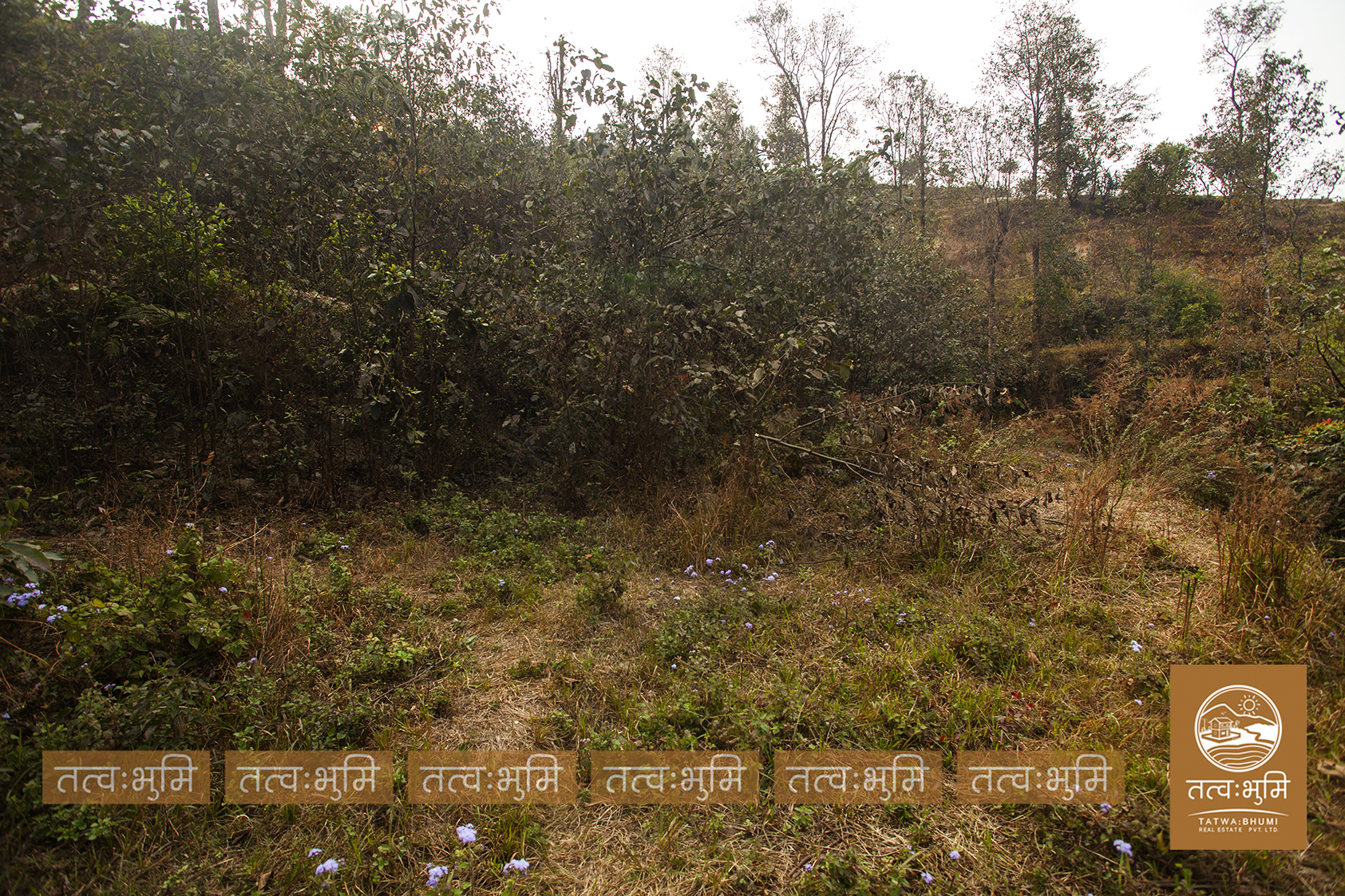 Picture of Shivapuri Rural Municipality, Bagmati