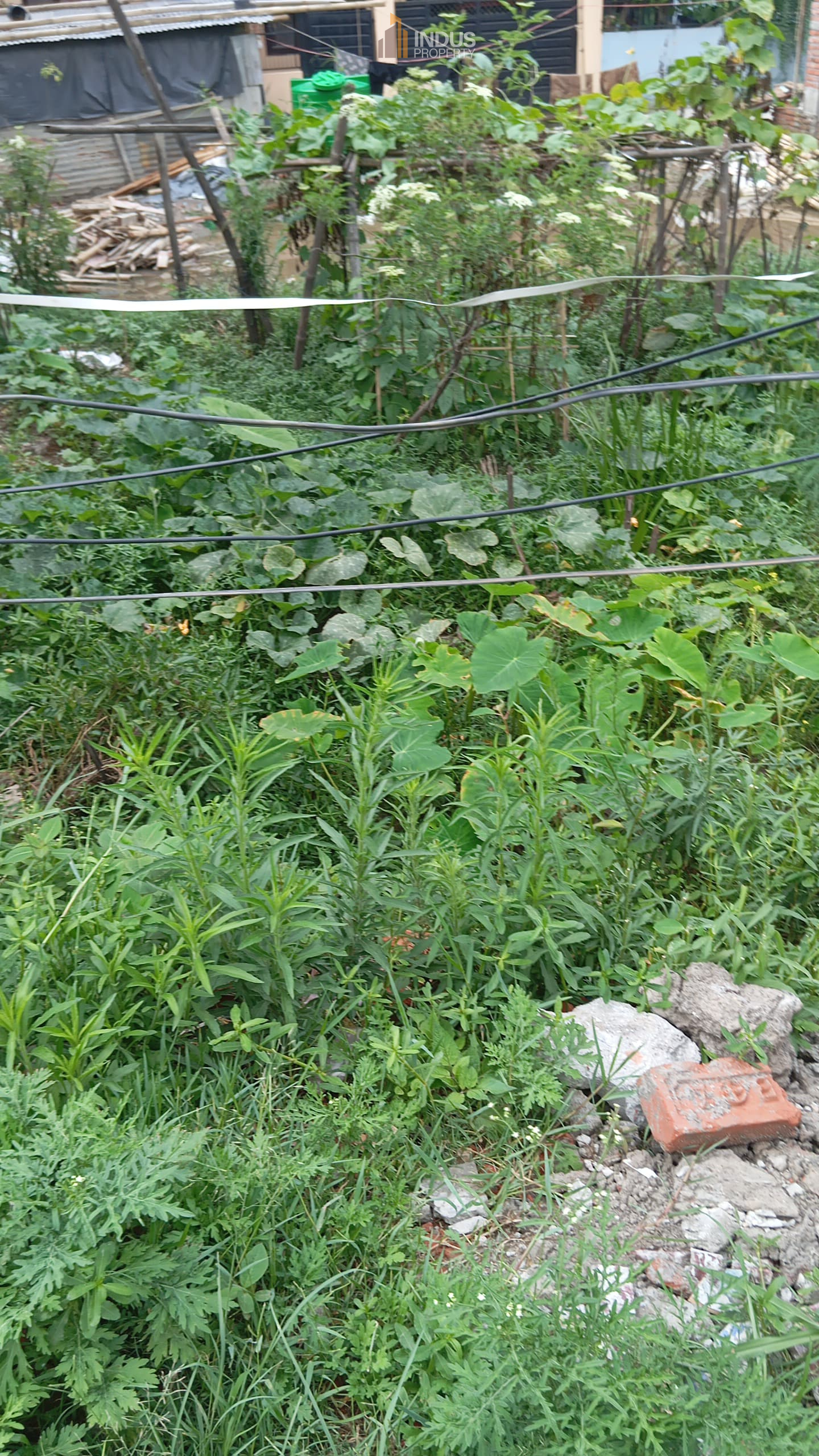 Picture of Madhyapur Thimi Municipality, Bagmati