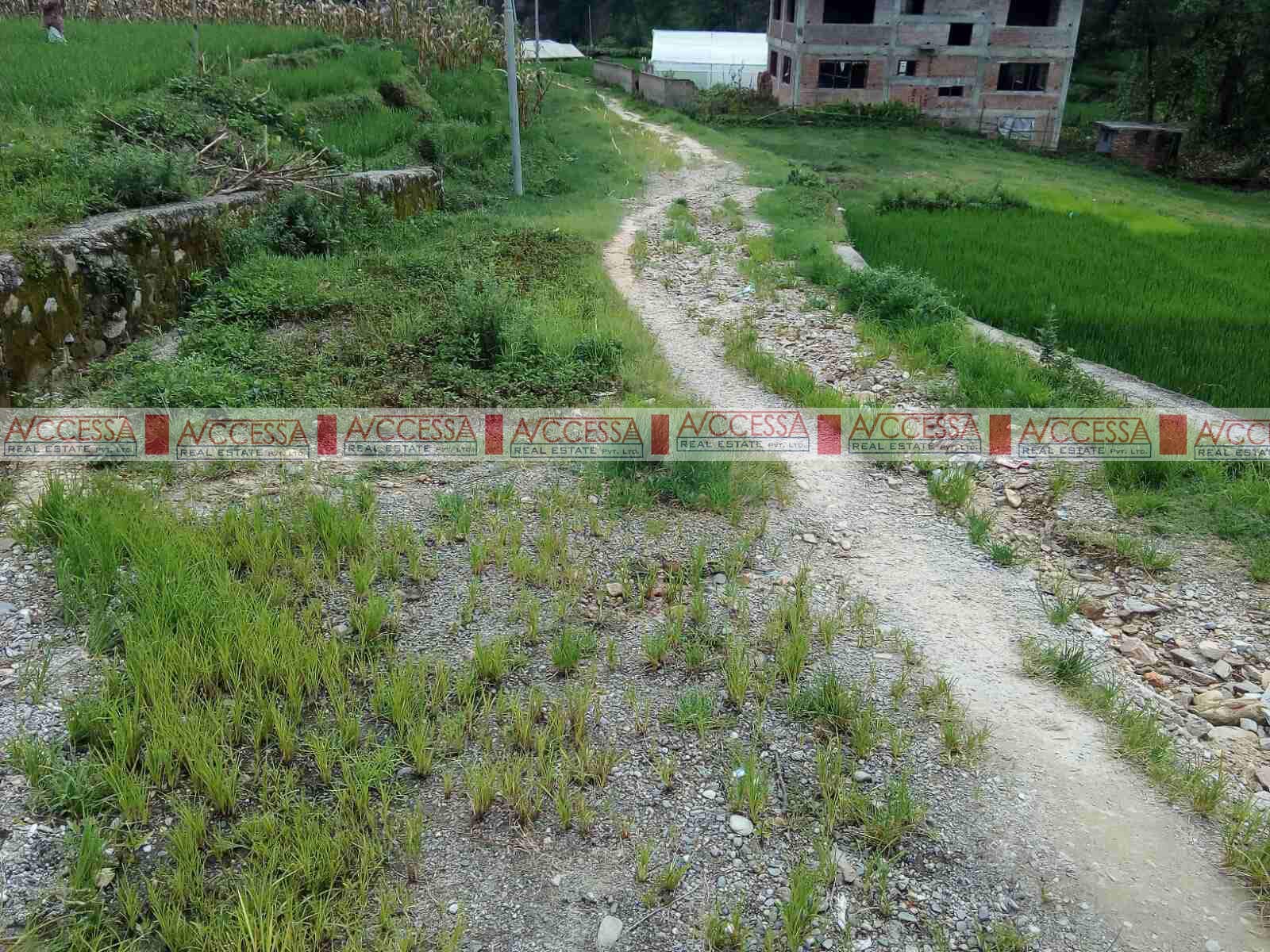 Picture of Godawari Municipality, Bagmati Province