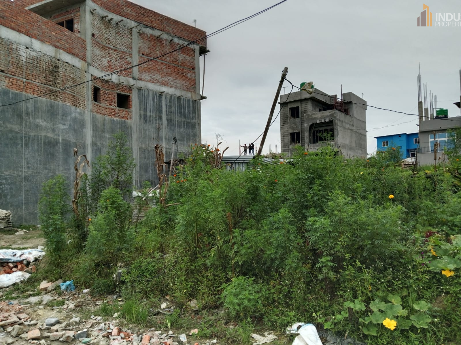 Picture of Mahalaxmi Municipality, Bagmati