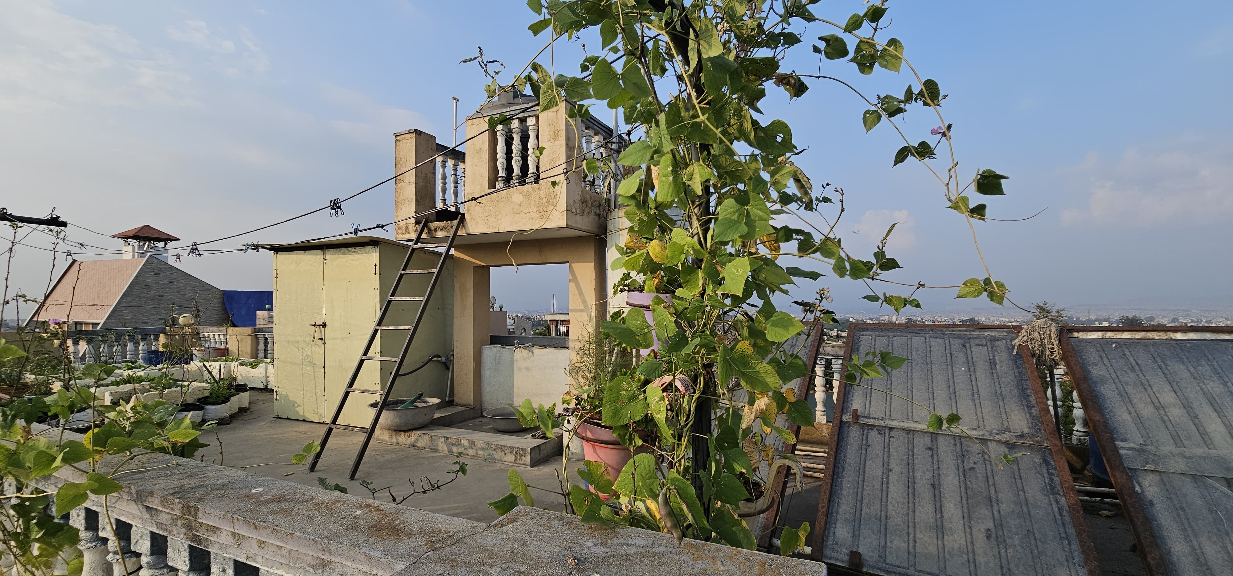 Picture of Lalitpur Metropolitan City, Bagmati